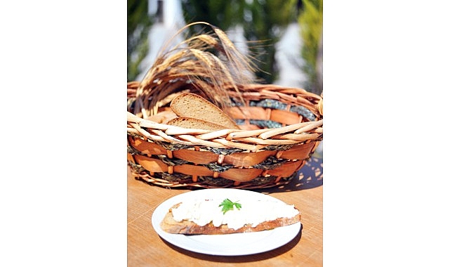 Ata Ekmeği ve Armola Şenliği, Karakılçık Rotası Lansmanıyla Ulamış’ta!