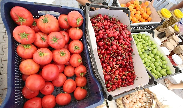 Efes Tarlası Yaşam Köyü’nde Üretici Pazarı 19 Ekim’de kapılarını açıyor