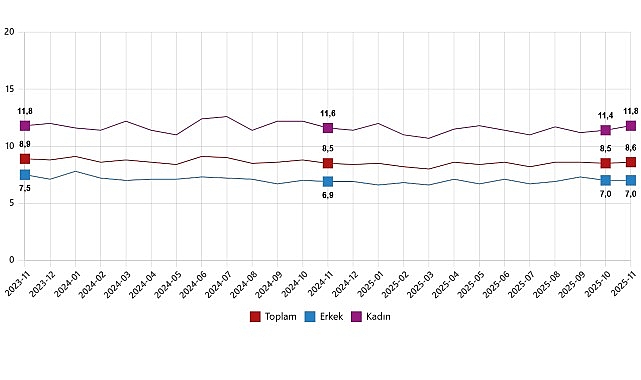 İşgücü İstatistikleri, Kasım 2025