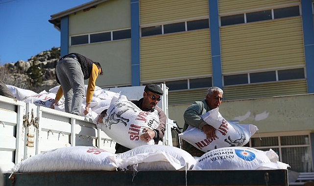 Büyükşehir’den 2025 yılında hayvancılığa 503 bin 625 kg yem desteği