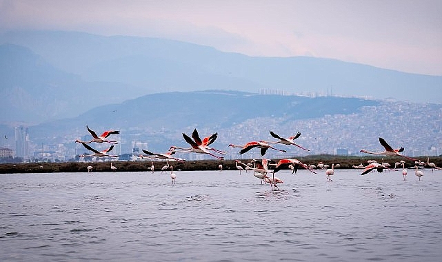 Doğa, kültür ve lezzet tutkunları yarıyıl tatilinde bu turlarda buluşacak