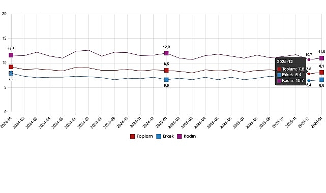 İşgücü İstatistikleri, Ocak 2026
