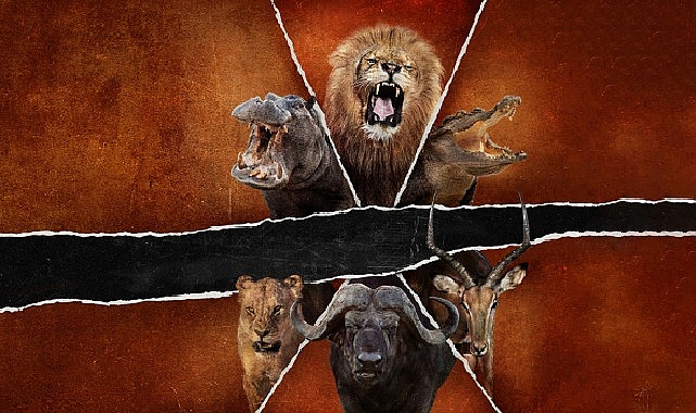‘Ölümcül Safari: Büyük Kedilerin Savaşı’,   15 Şubat Pazar Saat 20.00’de   National Geographic WILD Ekranlarında!