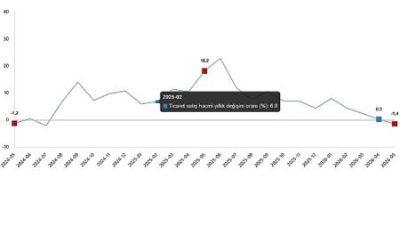 Ticaret Satış Hacim Endeksi, Mayıs 2026