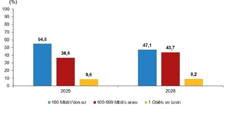 Girişimlerde Bilişim Teknolojileri Kullanım Araştırması, 2026