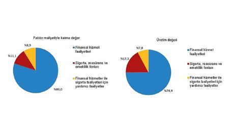 Mali Aracı Kuruluş İstatistikleri, 2025