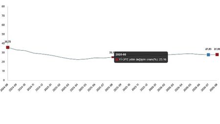 Yurt İçi Üretici Fiyat Endeksi, Ağustos 2026